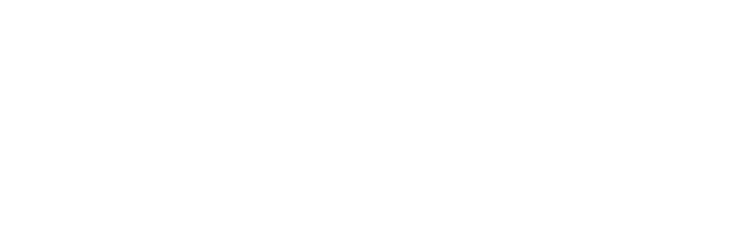 Széchenyi Terv Plusz